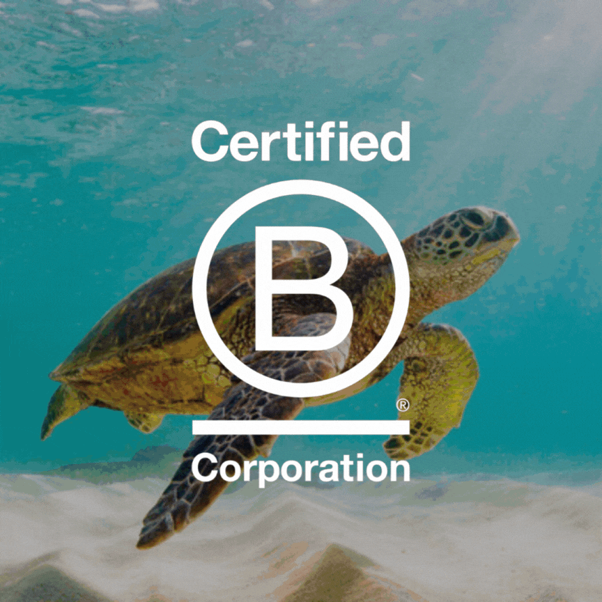 A sea turtle swims underwater, with the text "Certified B Corporation" overlaid, indicating the company’s certification in a context of clear blue ocean water.